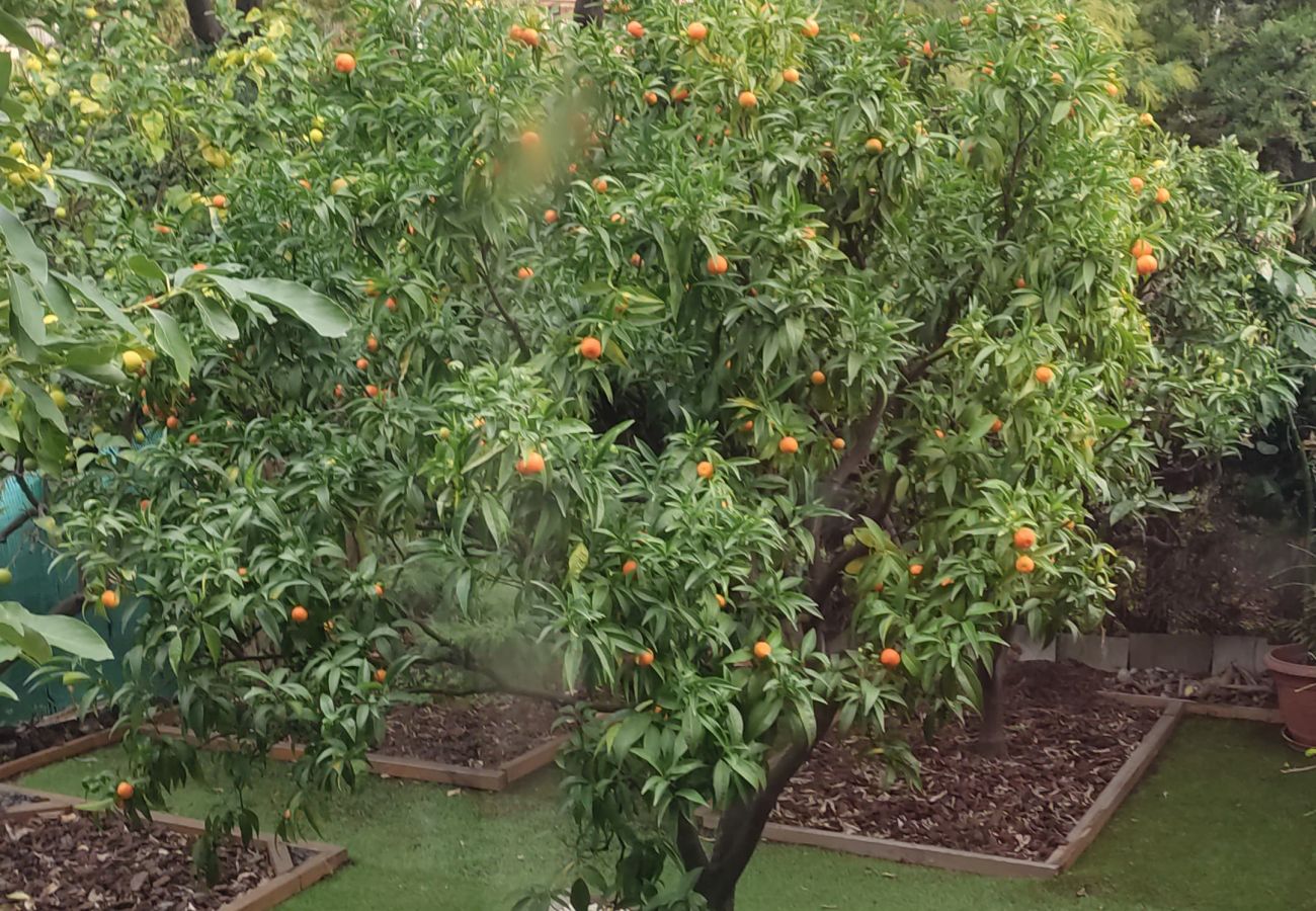 Appartamento a Menton - Havre de paix avec beau jardin au Neptune
