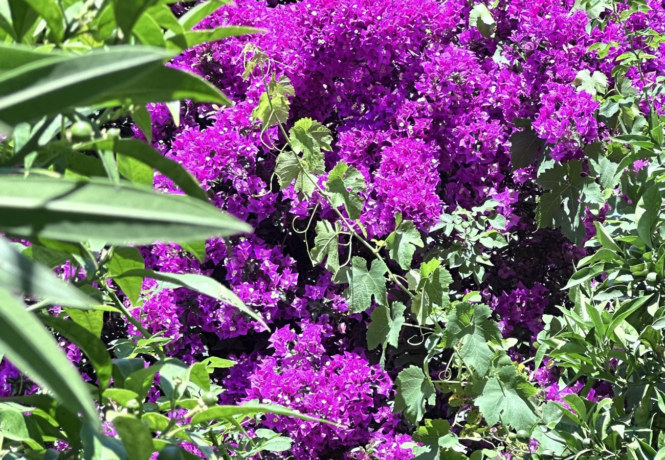 Appartamento a Menton - Havre de paix avec beau jardin au Neptune